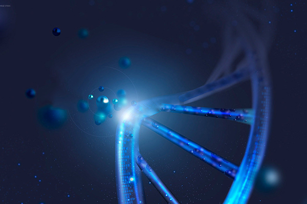 Chemical synthesis of siRNA: synthesis route, purification method, and quality control